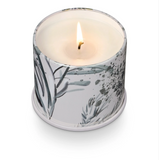Winter White Vanity Tin Candle