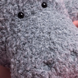 Maffles Manatee