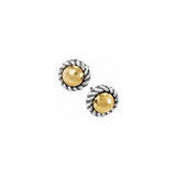 Gold Magic Mini Post Earrings