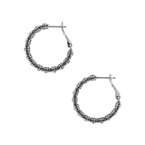 Twinkle Splendor Small Hoop Earrings
