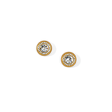 Suisses Gold Brushed Post Earrings