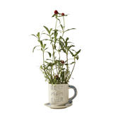 Best in Blue Mug with Saucer, Light Blue