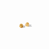 Colette Stud, Champagne
