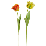 28" Real Touch Parrot Tulip Stem