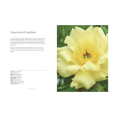 Peonies Book