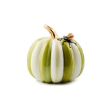 Fergal's Friend Spider on Small Moss Stripe Pumpkin