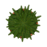 Pine Cone Placemat