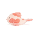 Fancy Carp