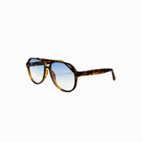 Stevie, Tort/Blue Fade