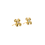 Leanne Gold Stud Earrings