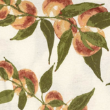 Peaches Organic Cotton Traditional Bib