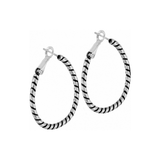 Twist Oval Hoop Charm Earrings