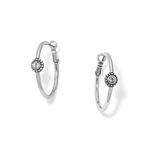 Twinkle Medium Hoop Post Earrings
