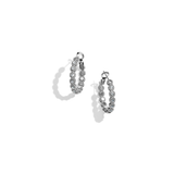 Twinkle Splendor Small Hoop Earrings