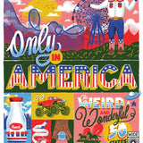 Only In America Book