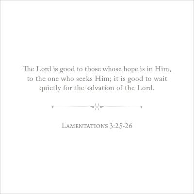 100 Days of Scripture Cards
