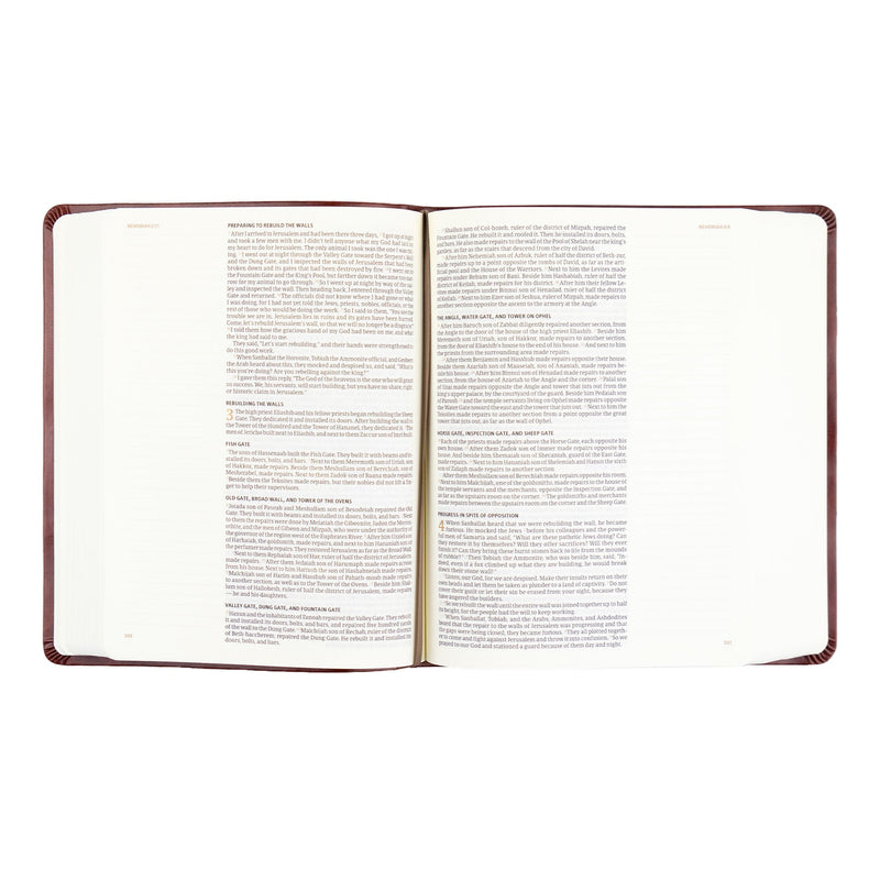 CSB Notetaking Bible, Anchorage Theme