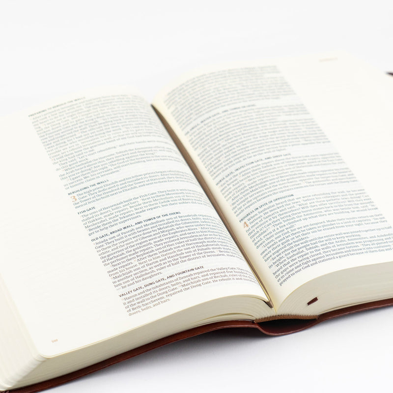 CSB Notetaking Bible, Anchorage Theme