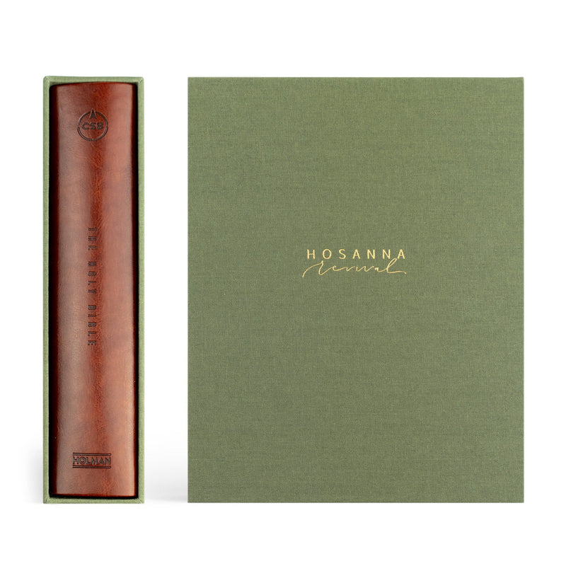 CSB Notetaking Bible, Anchorage Theme