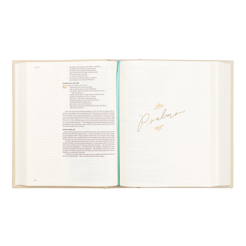 CSB Notetaking Bible, Charleston Theme