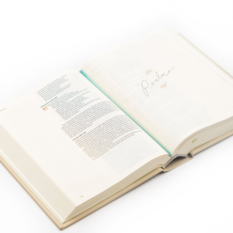 CSB Notetaking Bible, Charleston Theme