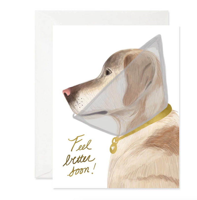 Feel Better Doggie Card