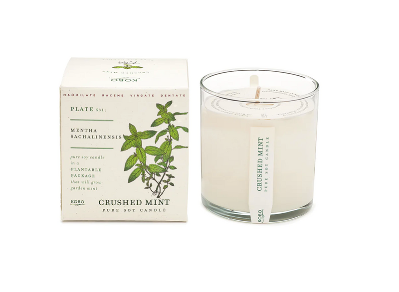 Crushed Mint Plant The Box 9oz Candle