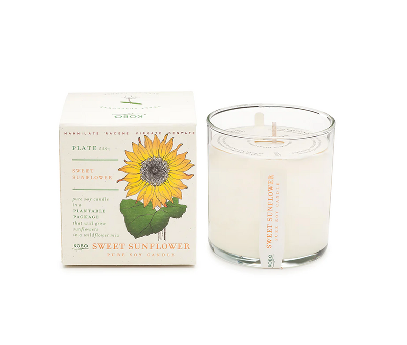 Sweet Sunflower Plant The Box 9oz Candle