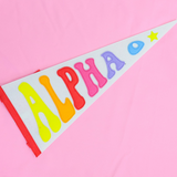 Rainbow Flag Pennant