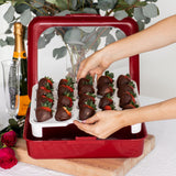 Egg Tray Insert For Fancy Panz 2 in 1
