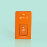 Pumpkin Dulce Pura Diffuser Refill